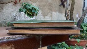 Alba na LP - 9