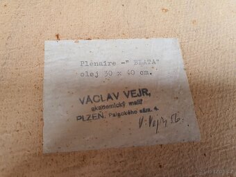 OBRAZ ak.malíř Václav Vejr – Blata, perfekt stav, sklo - 9