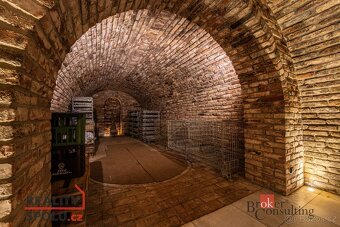 Prodej, komerční/ubytování, 202 m2, Čejč, Hodonín [ID 77709] - 9