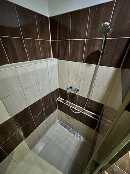 (806) Pronájem, dům, 196 m poz., B. Němcové 349, Podbořany - 9