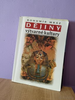 Prodám učebnice češtiny, angličtiny a dějin výtvarné kultury - 9