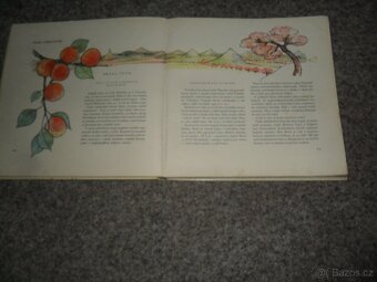 Herbář Krakonošův, Příroda v ČSSR, Ráj zvířat, Naše houby - 9