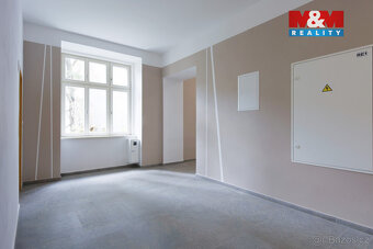 Pronájem bytu 1+kk, 55 m², Plzeň, ul. Americká - 9