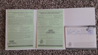 MV Agusta Brutale 1090 r.v. 2014 - 9