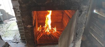 Pronájem zahrady - 9