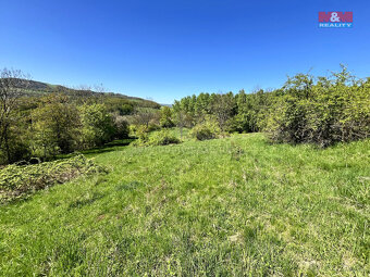 Prodej louky, 21830 m², Malšovice - Hliněná - 9