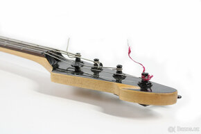 Kytara PEAVEY Millennium AC BXP - 9