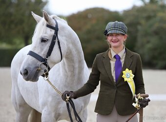 Nádherný valach na všechno:-) - 9