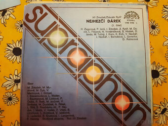 SP deska ružné druhy výběr dle foto 2 - 9