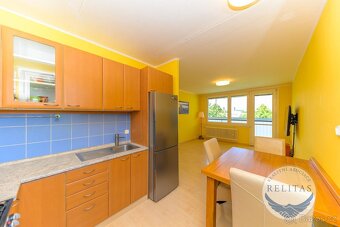 Pronájem bytu 3+kk 65 m² - 9