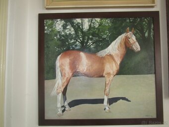 bytové doplnky-obrazy - 9