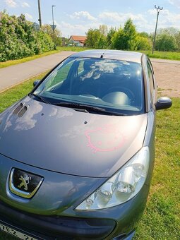 PEUGEOT 206 opečovávaný - 9