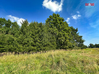 Prodej lesa, 4708 m², Kamenice nad Lipou - 9