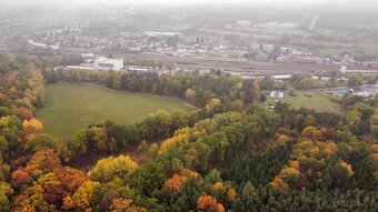 Prodej komerčních pozemků, Veselí nad Lužnicí - 9