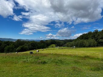 Rezervace na dexter jalovice s POP na rok 2026 - 9