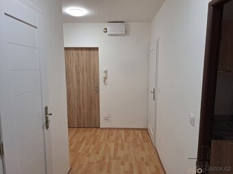 Pronájem bytu 2+1/L, Březiny - 9