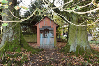 Janov - zemědělská usedlost se stodolou a pozemky 11 612 m2 - 9