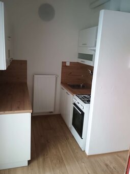 Pronájem 3+1 Dr. Stejskala, České Budějovice - 9