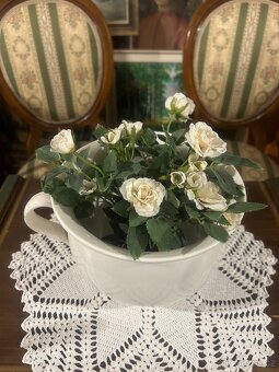 Keramický starožitný nočník - 9