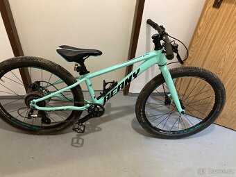 Dětské kolo Beany BLASTER 24 - 9