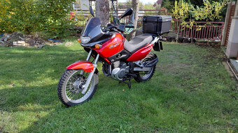 Suzuki XF 650 Freewind A2 35KW - 9