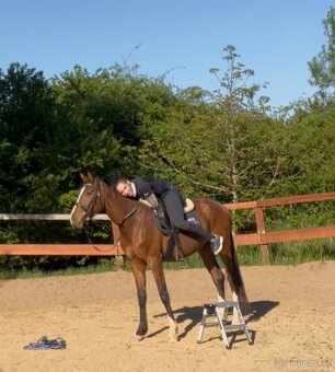 4 letý vlach po Le patron obsednut - 9