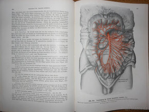 Staré knihy Anatomie člověka - 9