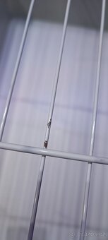 Klec pro hlodavce králíka morče 78 x 48 x 42 - 9