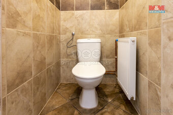 Pronájem rodinného domu, 4+1, 800 m², Ždírec - Blovice - 9
