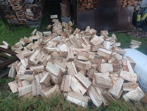 Palivové dřevo - 9