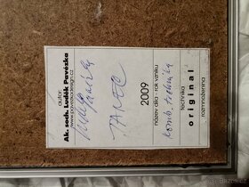 Ak. Soch. Luděk Pavézka - 9