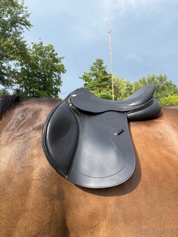 Skokové sedlo Kentaur Titan – 17,5”, komora 2 – TOP stav - 9