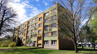 Byt 2+1, 49,3 m2, J. Plachty, České Budějovice - 9