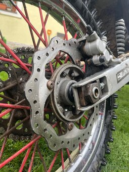 Diabolini MMR 250-2021 - 9