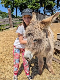Dětský pobytový tábor u koní - 9