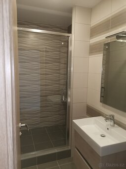 Pronajmu byt 2+1 Přátelství 18 Cheb - 9