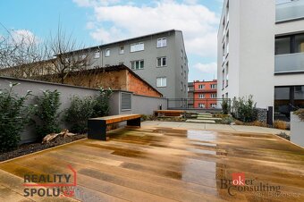 Pronájem, byty/1+kk, 42 m2, Na Jíkalce 3051/19, Jižní Předmě - 9