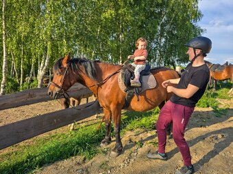 Huculská klisna, hucul, rekreace, vyjížďky, hipoterapie. - 9