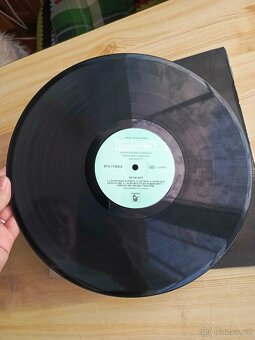 Vinyl starší lp - 9