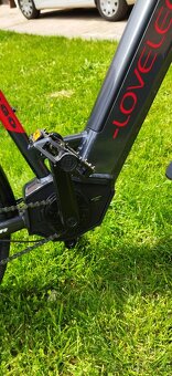 Lovelec - Trekingove Triago LOW STEP - 9