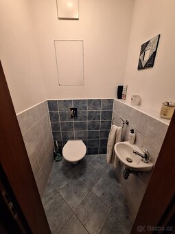 Pronájem bytu 2+kk s terasou a předzahrádkou - 9