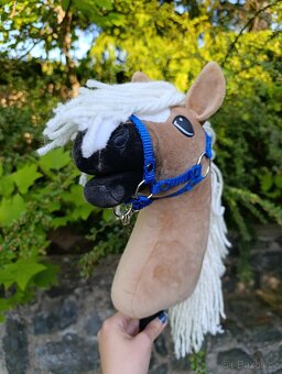 Larden xs hobby horse - 9