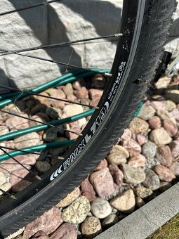 Horské kolo Dirtparade - 9