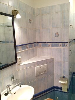Pronájem částečně zařízeného bytu 1+1 v Ústí nad Labem ul. - 9