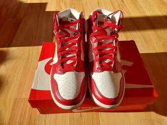 Nike Dunk Chenille - 9