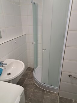 Pronájem bytu 1+kk • 44 m², Ostromečská 436/7, Praha 3 - 9