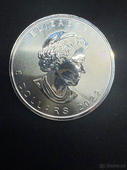 Stříbrná investiční mince Maple Leaf 1 oz - 9