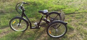 Elektrická tříkolka EASYBIKE Auriga - 9
