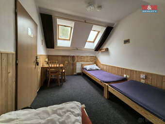 Pronájem ubytovacích prostor rodinného domu, 81 m², Těchonín - 9