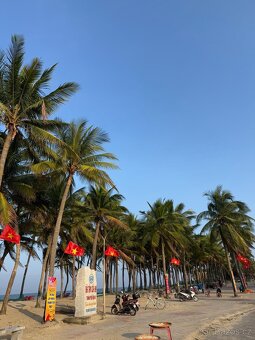 Vietnam 2025 - 9